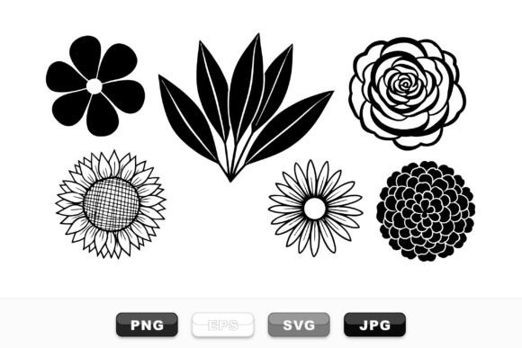 Hand Drawn Floral Vector Pack Review